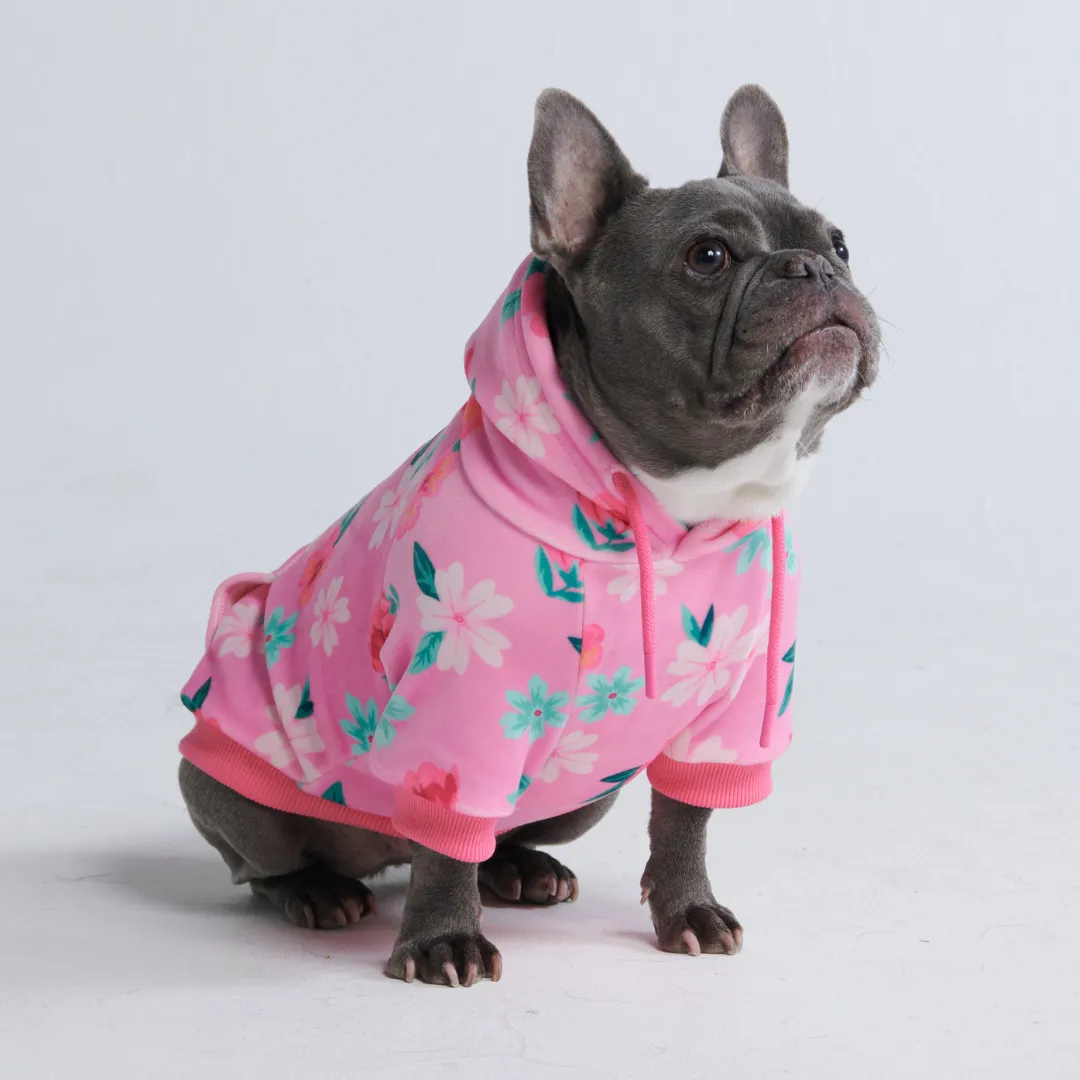 Blossom Dog Hoodie - Pink (2)